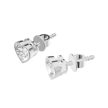 Everlasting Shine Diamond Silver Earring (SES-AG006)